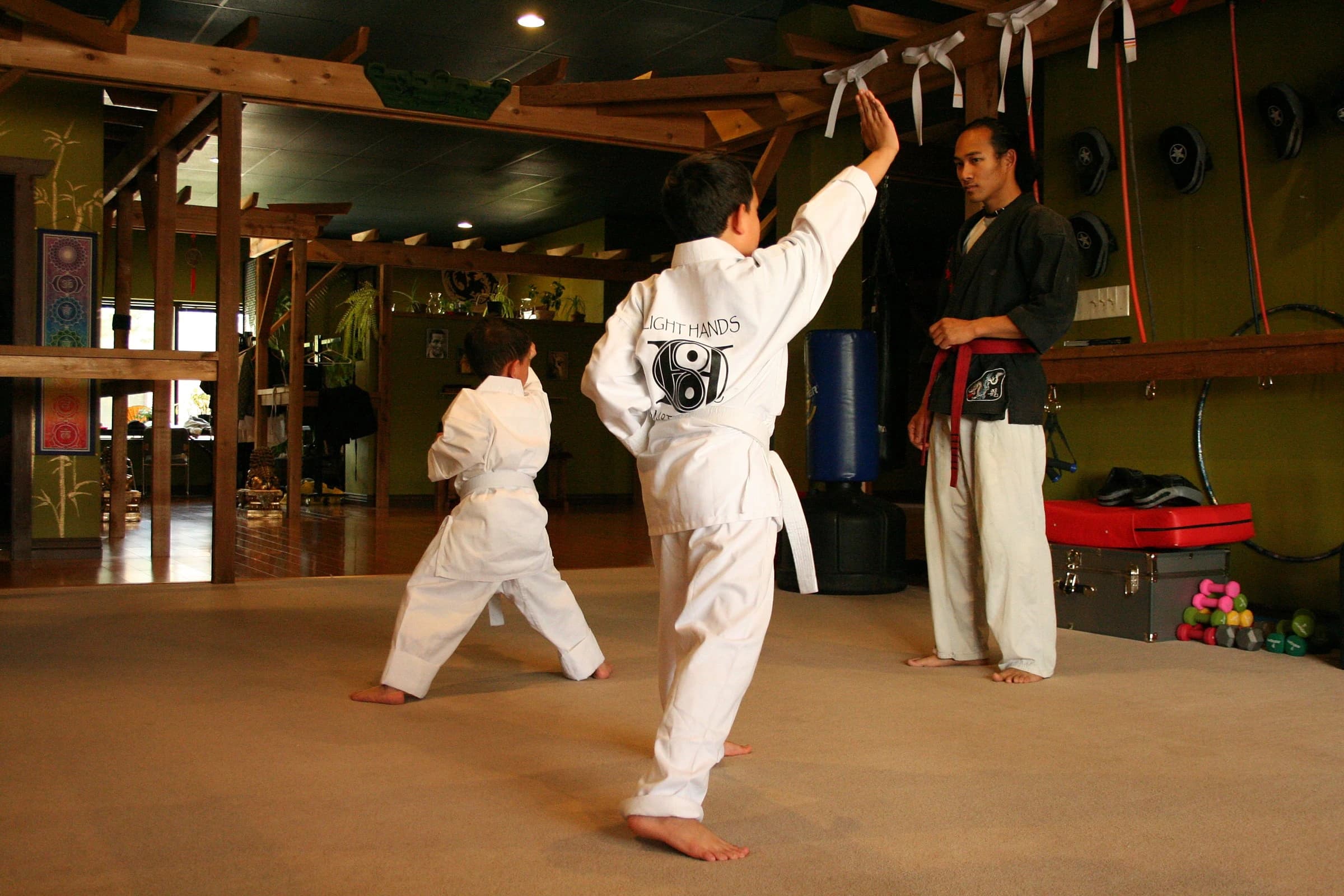 Martial arts students training